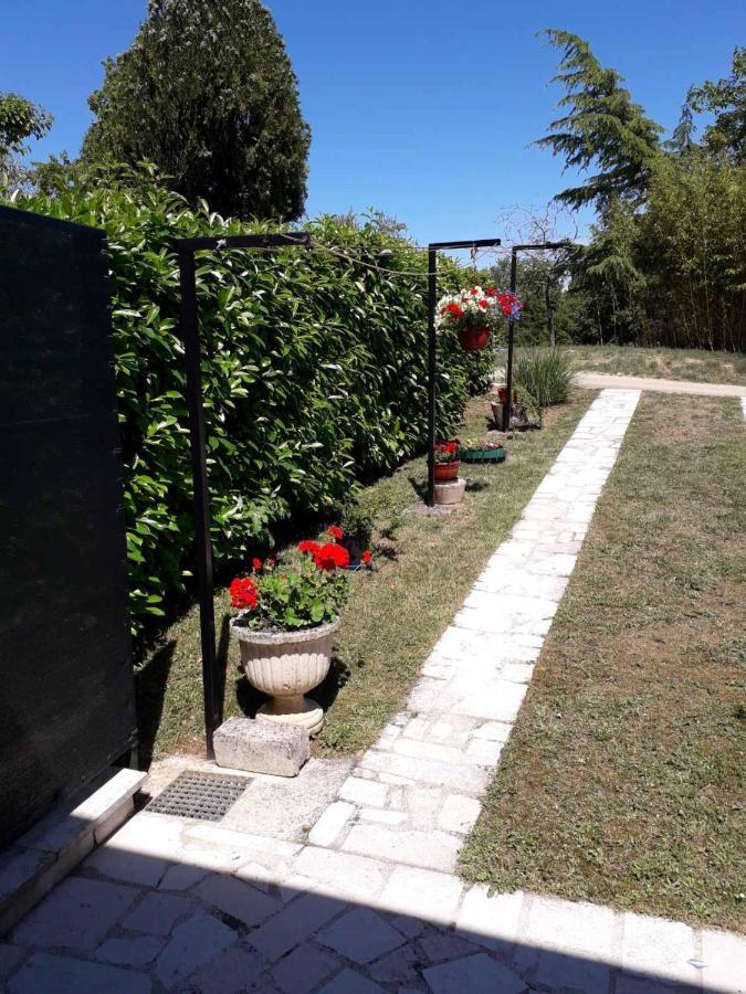Apartment Nena- Apartman Sa Posebnim Ulazom U Prizemlju, Terasom I Zelenom Okucnicom Rakotule Exterior foto